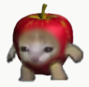 Apple Cat