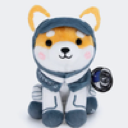 Asteroid The Space Shiba Inu