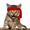 Red Kitten Crew