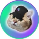 CatSolHat