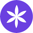 USD Star
